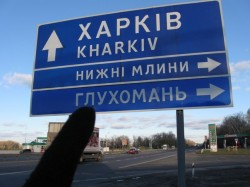 Беспощадная статистика Беспощадная статистика