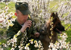 Сегодня – день пограничника Сегодня – день пограничника