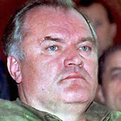 Журналисты "выдают" Младича в Гаагу Журналисты "выдают" Младича в Гаагу
