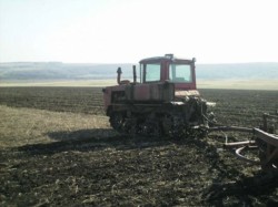 Что мы посеем и что мы пожнем Что мы посеем и что мы пожнем