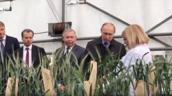 Путин впервые прокомментировал отравление Скрипаля Путин впервые прокомментировал отравление Скрипаля