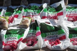 Черниговское помрачение Черниговское помрачение