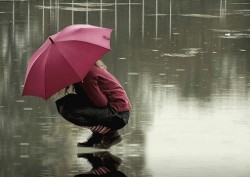 Дожди заливают Москву Дожди заливают Москву