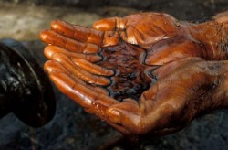 В Кении нашли нефть В Кении нашли нефть