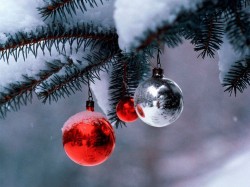С Новым годом! С Новым годом!