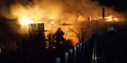 Бомбой по пожару или по карману? Бомбой по пожару или по карману?