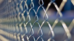 Польша построит забор на границе с Белоруссией и Украиной Польша построит забор на границе с Белоруссией и Украиной