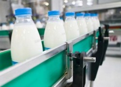 Россельхознадзор обнаружил нитраты в молоке белорусских предприятий Россельхознадзор обнаружил нитраты в молоке белорусских предприятий