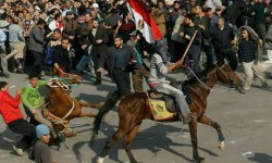 Египет: от «весны» к «осени» Египет: от «весны» к «осени»