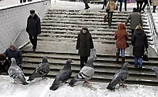 Дождя в Москве не будет Дождя в Москве не будет
