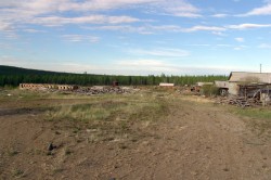 Шесть соток на пустыре Шесть соток на пустыре