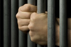 Думский комитет одобрил проект амнистии Думский комитет одобрил проект амнистии
