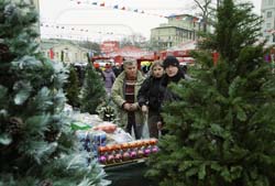 В столице открываются елочные базары В столице открываются елочные базары