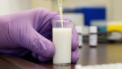 В российском молоке нашли гипс, мыло и многое другое