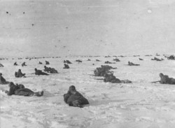 Сегодня 68 годовщина Сталинградской битвы Сегодня 68 годовщина Сталинградской битвы