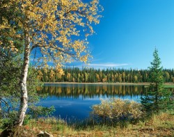 К чему Финляндии скупать российские земли? К чему Финляндии скупать российские земли?