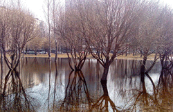 Москву остужает антициклон