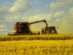 Россия будет с хлебом Россия будет с хлебом