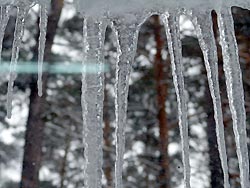 Москвичей ждет оттепель Москвичей ждет оттепель