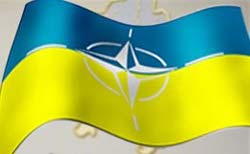 В НАТО решают судьбу Украины