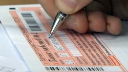 Болонского козла пустили в огород… Болонского козла пустили в огород…