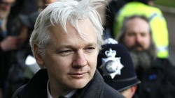 Ассанж сравнил Трампа и Клинтон с холерой и гонореей Ассанж сравнил Трампа и Клинтон с холерой и гонореей