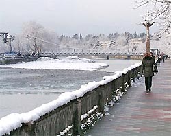 Сочи сделают англоязычным Сочи сделают англоязычным
