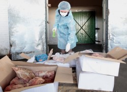 Россия ограничила поставки с нескольких мясных заводов Белоруссии