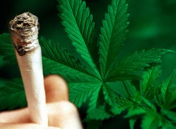 В США могут легализовать наркотики