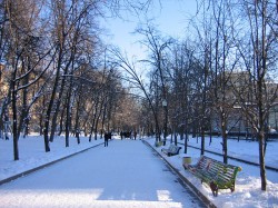 В Москве освоились мороз и солнце