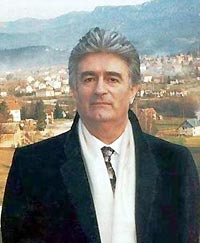 Караджич озадачил судей Караджич озадачил судей