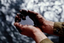 США заявили об открытии крупнейшего нефтяного месторождения в Техасе США заявили об открытии крупнейшего нефтяного месторождения в Техасе