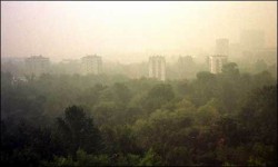 Москва идет на рекорд Москва идет на рекорд