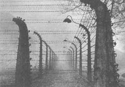 Евродепутаты расположатся в Освенциме