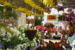 В России откроют цветочную биржу