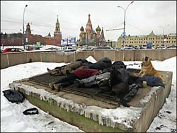 В Москве замерзли 7 человек В Москве замерзли 7 человек