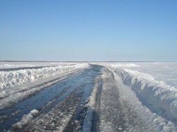 Четверо на дороге жизни