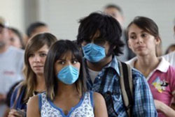 Треть россиян может заболеть свиным гриппом