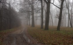 Начало ноября порадует теплом Начало ноября порадует теплом