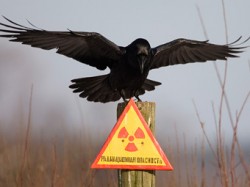 Таджикистан опасен для соседей Таджикистан опасен для соседей