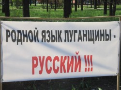 За что сражается Донбасс? За что сражается Донбасс?