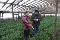 На Сахалин потратят 1 млрд рублей На Сахалин потратят 1 млрд рублей