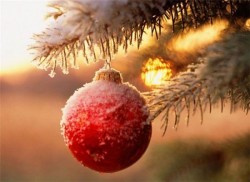 С Новым годом и Рождеством Христовым!