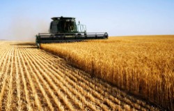 Аграриям выделили 92 млрд рублей