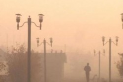Поджоги в Братске были умышленными