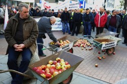 В Польше протестуют тысячи фермеров