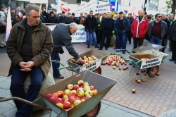 В Польше протестуют тысячи фермеров В Польше протестуют тысячи фермеров