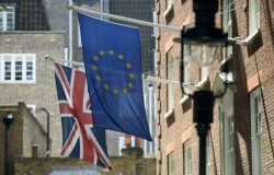 Учёные Великобритании выступили против выхода страны из ЕС