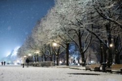 Новый год будет снежным Новый год будет снежным