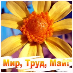 Депутаты хотят увеличить майские праздники Депутаты хотят увеличить майские праздники